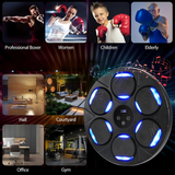 Wall Mounted Smart Music Boxing Pad