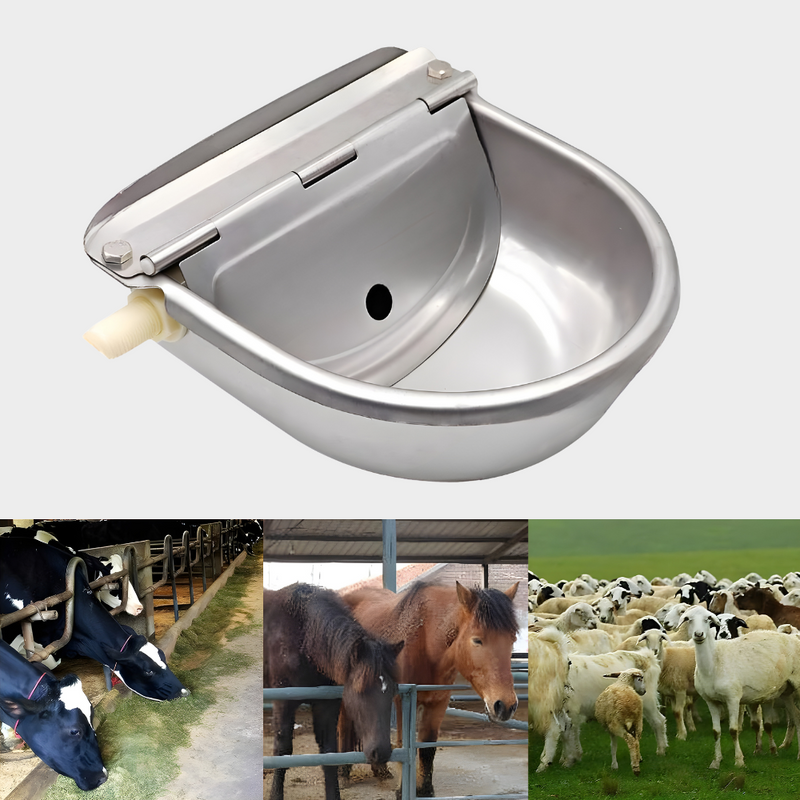 Automatic Water Bowl For Live Stocks & Pets