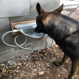 Automatic Water Bowl For Live Stocks & Pets