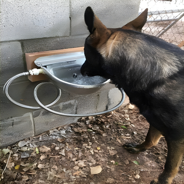 Automatic Water Bowl For Live Stocks & Pets